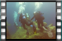 Filmare subacvatica - scuba underwater video - Diving-Croatia.mp4