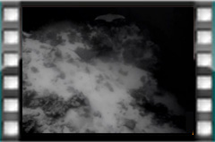 Filmare subacvatica - scuba underwater video - Eaglerays.mp4