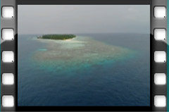 Filmare subacvatica - scuba underwater video - Maldives-Teaser.mp4