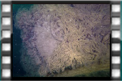 Filmare subacvatica - scuba underwater video - Malyutka-Wreck.mp4