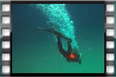 Filmare subacvatica - scuba underwater video - Plongee.mp4