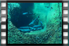 Filmare subacvatica - scuba underwater video - Socorro-Teaser.mp4